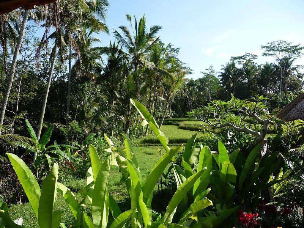 Umajati Retreat Villa Ubud  Luaran gambar
