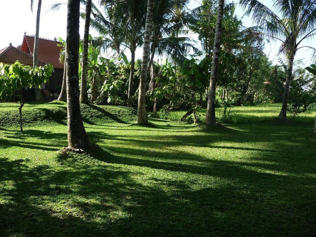 Umajati Retreat Villa Ubud  Luaran gambar